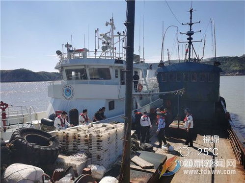 我市持续开展 封港清查 取缔大中型涉渔 三无 船舶专项行动